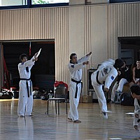 tag2 dsc 4405