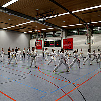 IMG 7103