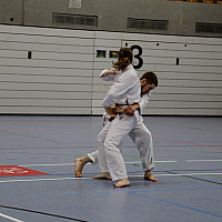 IMG 7623
